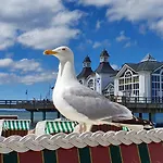 Inselliebe Rügen Inkl Sauna Und 3h Täglich Eintritt Ahoi Schwimmbad *